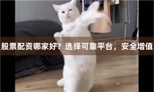 股票配资哪家好？选择可靠平台，安全增值