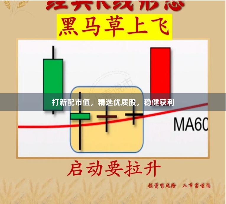 打新配市值，精选优质股，稳健获利
